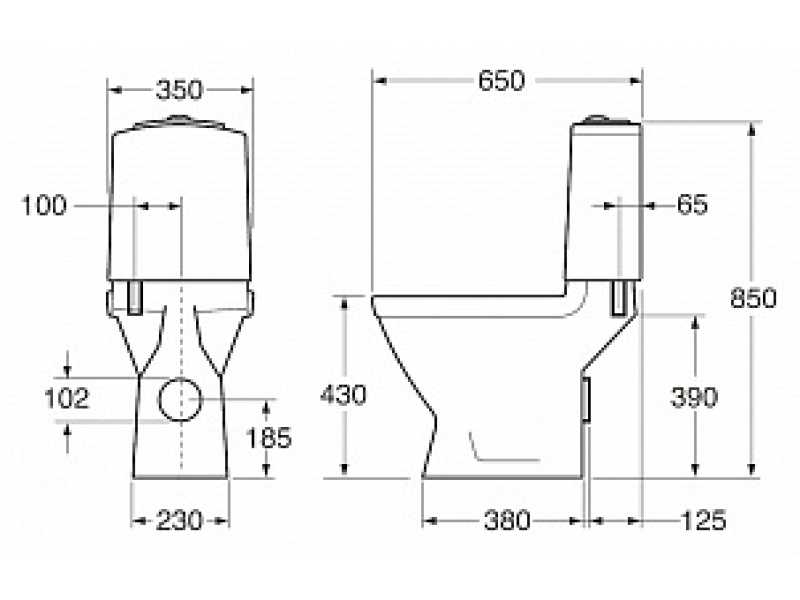 Купить Напольный унитаз Gustavsberg Logic GB115695301727 5695 95 крышка стандарт