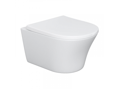 Подвесной безободковый унитаз Damixa Skyline DX35C1700SC, крышка микролифт