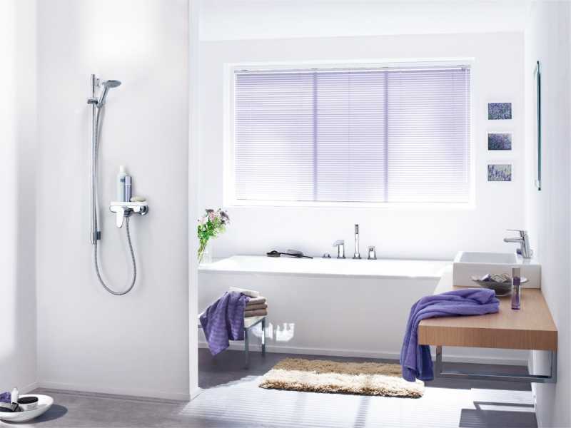 Купить Ручной душ Grohe Euphoria 27265000 Mono
