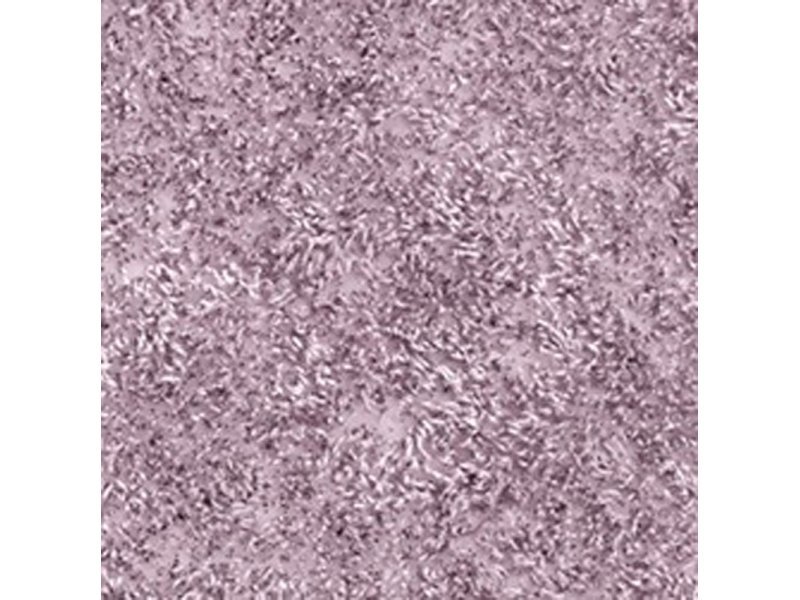 Купить Коврик WasserKraft Kammel напольный, цвет - лиловый, 55 х 57 см, BM-8334 Light Lilac