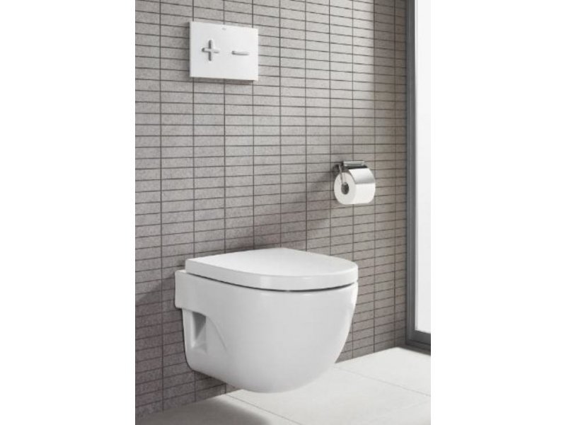 Купить Кнопка смыва Roca PL6 Dual 890085000, белая