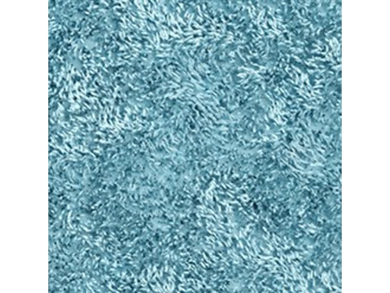 Купить Коврик WasserKraft Kammel напольный, цвет - голубой, 90 х 57 см, BM-8314 Clearwater