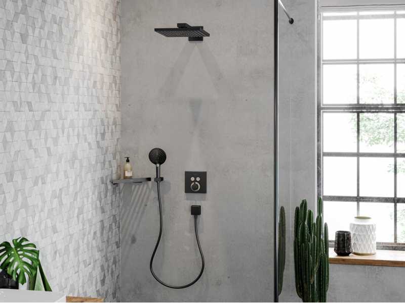 Купить Верхний душ Hansgrohe Raindance 26238340, 300x300 мм, 1 режим струи, с держателем, черный хром
