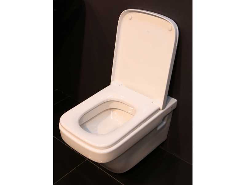 Купить Подвесной унитаз Roca Dama-N 346787000