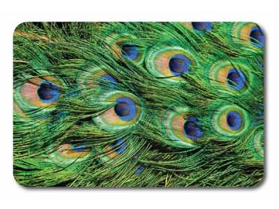 Коврики для ванной и туалета Veragio Carpet VR.CPT-7200.01 68 х 45 см + WC 45 x 40 см, рисунок Fenix