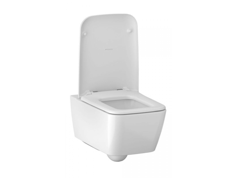 Купить Подвесной унитаз Geberit IT! 201950000 безободковый Rimfree