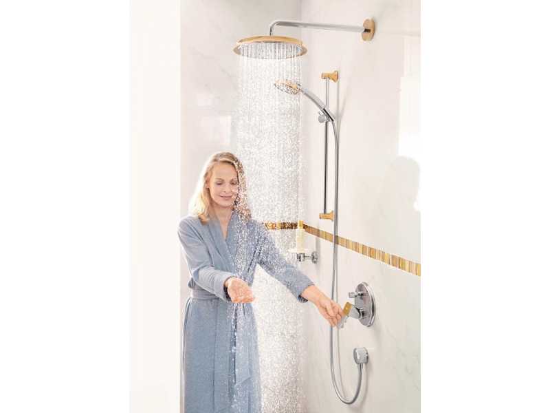 Купить Верхний душ Hansgrohe Raindance Classic 1jet 27424090, хром/золото