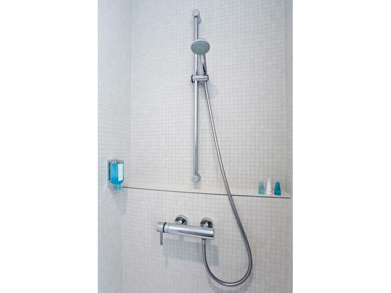 Купить Душевой шланг Grohe Silverflex с защитой от перегибов 1750 мм (хром) 28388000, Relexa Plus