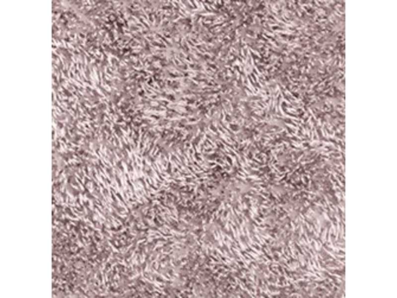 Купить Коврик WasserKraft Kammel напольный, цвет - розовый, 55 х 57 см, BM-8339 Chalk Pink