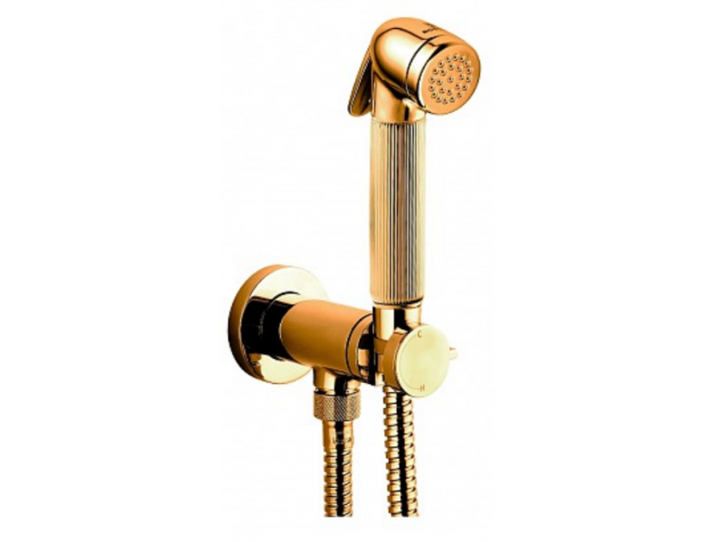 Купить Гигиенический душ Bossini Nikita Mixer Set, со смесителем, золото, E37008B.021