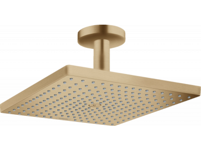Верхний душ Hansgrohe Raindance 26250140, 300x300 мм, 1 режим струи, с держателем, шлифованная бронза