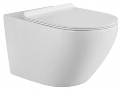 Подвесной безободковый унитаз Aquanet Cetus W Short 00249710, крышка микролифт