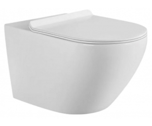 Подвесной безободковый унитаз Aquanet Cetus W Short 00249710, крышка микролифт
