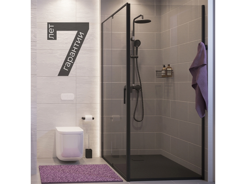 Купить Душевой уголок WasserKRAFT 74P10, прямоугольный, 120х100 см