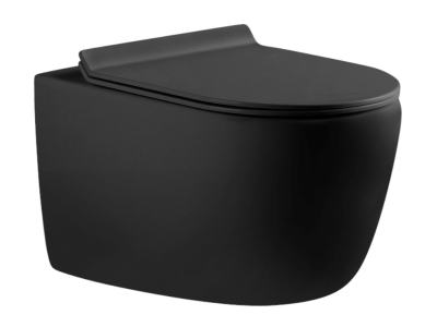 Подвесной безободковый унитаз Aquanet Cetus-BW Rimless, крышка микролифт, Slimseat, черный, 287008