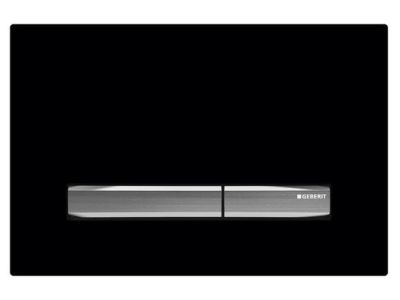 Смывная клавиша GEBERIT Sigma 50 115.788.DW.2 черный