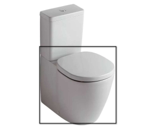 Унитаз напольный Ideal Standard Connect E803701 (чаша)