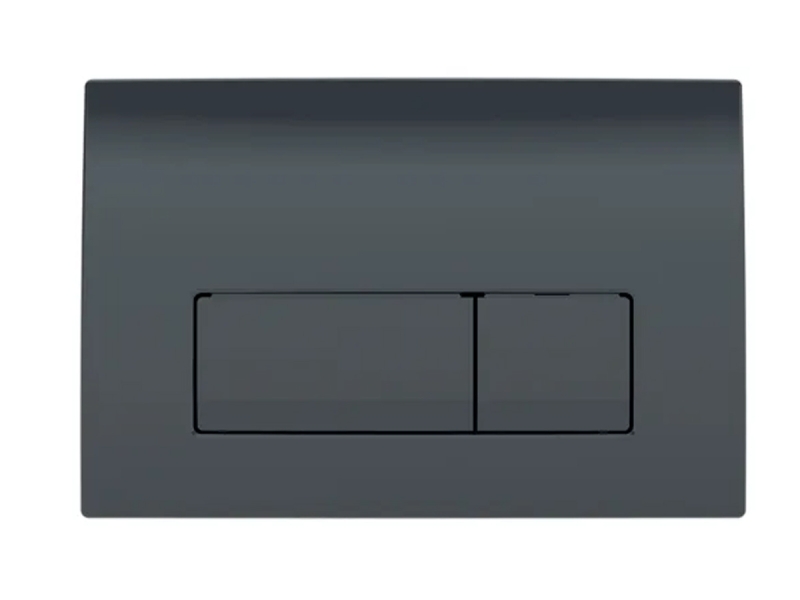 Купить 115.119.DW.1 Смывная клавиша Geberit Delta50, для двойного смыва: Черный RAL 9005