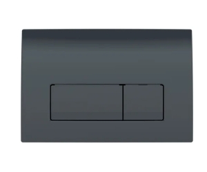115.119.DW.1 Смывная клавиша Geberit Delta50, для двойного смыва: Черный RAL 9005