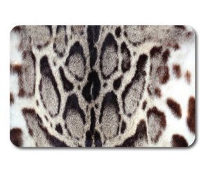 Коврики для ванной и туалета Veragio Carpet VR.CPT-7200.04 68 х 45 см + WC 45 x 40 см, рисунок Jaguar